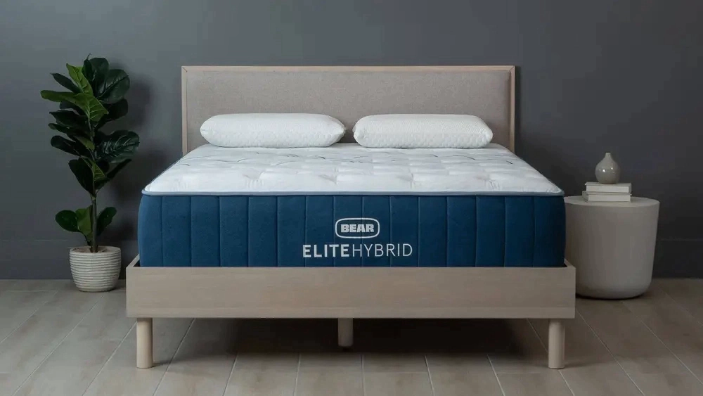 bear mattress on bed
