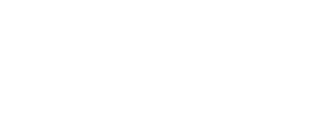 noa white logo